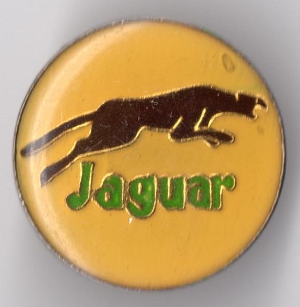 jaguar (01).jpg